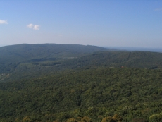 stc_2272.jpg